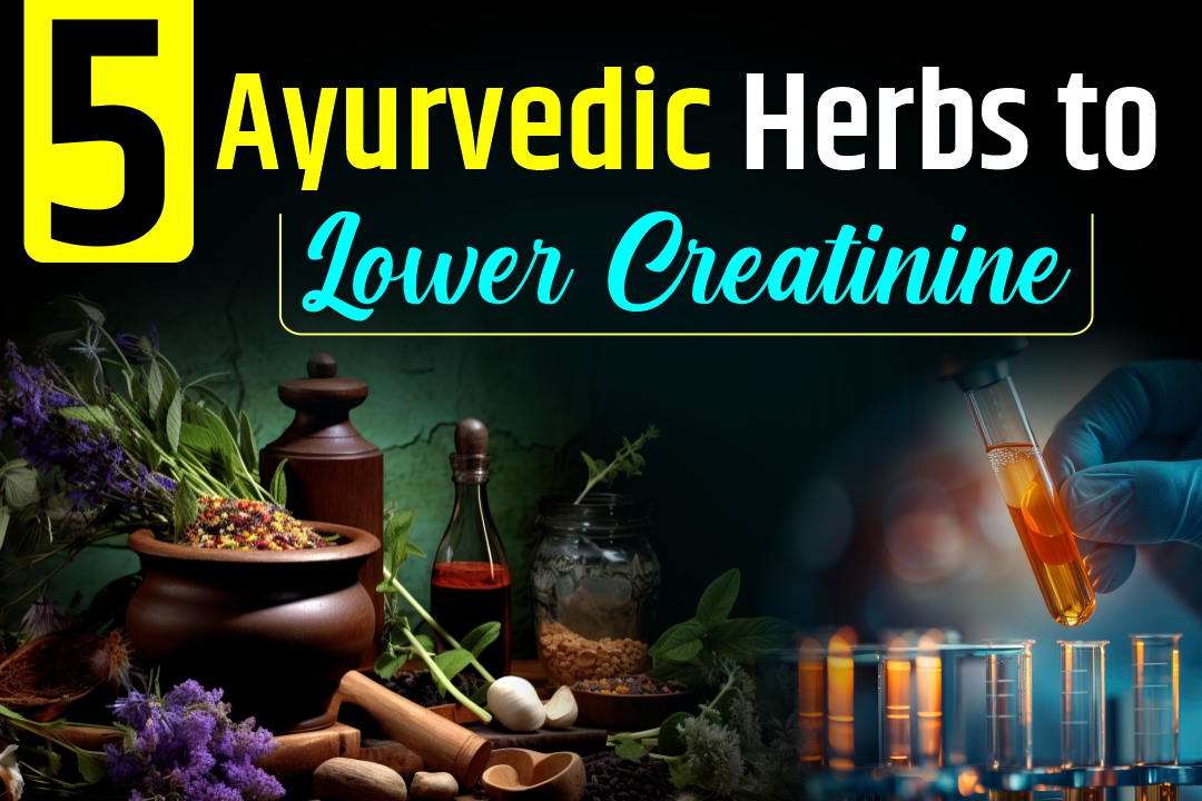 Top 5 Ayurvedic Herbs to Lower Creatinine Levels in the USA
